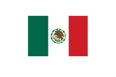 bandera-19