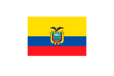 bandera-23